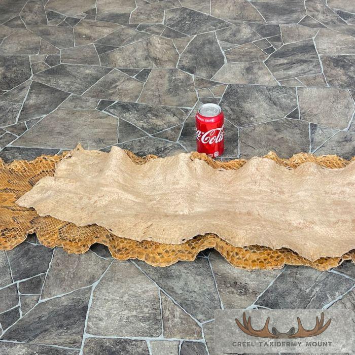 African Rock Python Snake Skin Rug Mount For Sale - Image 5