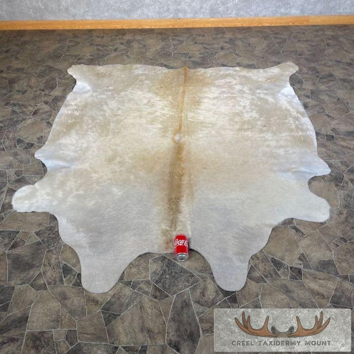 Tanned Cowhide Taxidermy Skin For Sale - Image 4