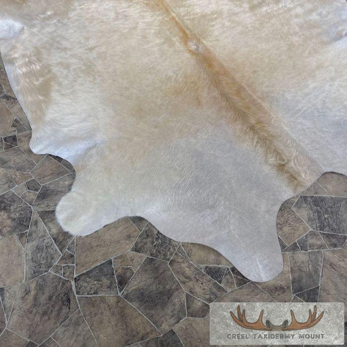Tanned Cowhide Taxidermy Skin For Sale - Image 3