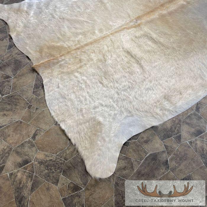 Tanned Cowhide Taxidermy Skin For Sale - Image 2