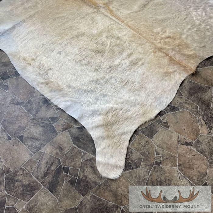 Tanned Cowhide Taxidermy Skin For Sale - Image 5