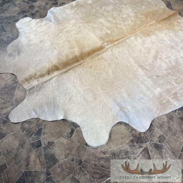 Tanned Cowhide Taxidermy Skin For Sale - Image 6