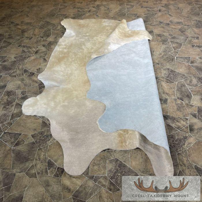 Tanned Cowhide Taxidermy Skin For Sale - Image 7