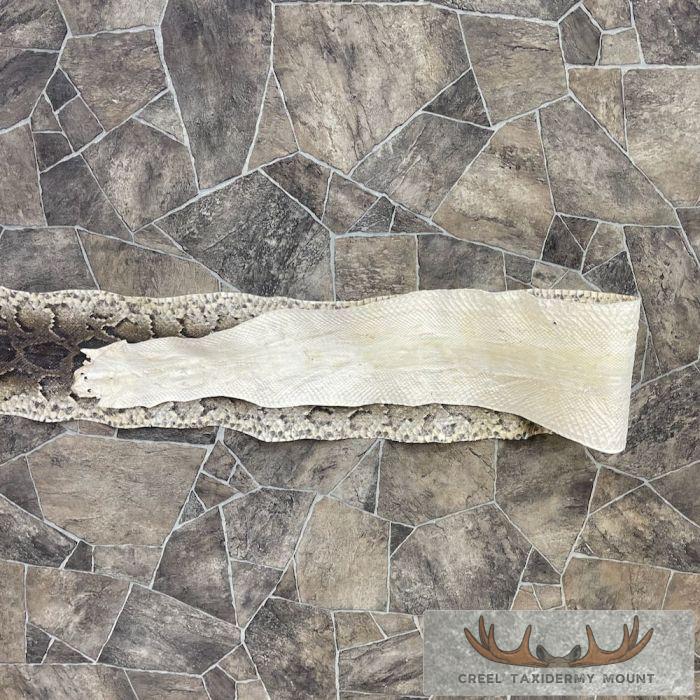 African Rock Python Snake Skin Rug Mount For Sale - Image 2