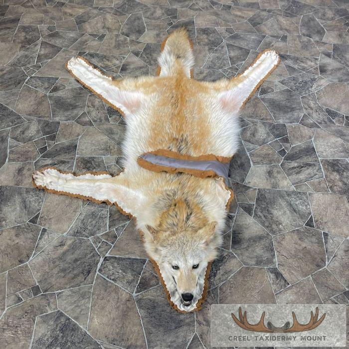 Strawberry Coyote Full Rug For Sale - Image 11