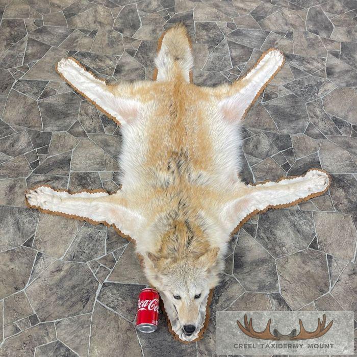 Strawberry Coyote Full Rug For Sale - Image 4