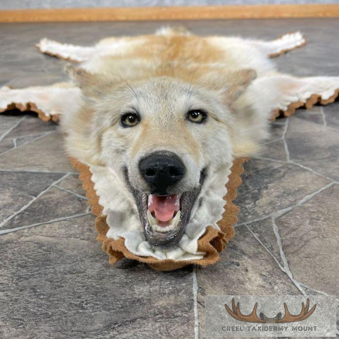 Strawberry Coyote Full Rug For Sale - Image 2