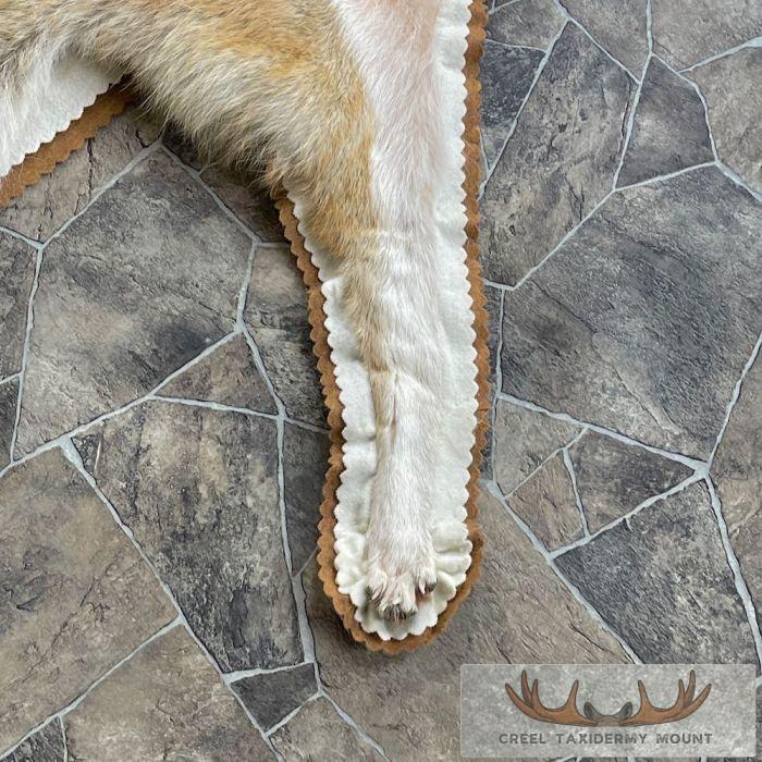Strawberry Coyote Full Rug For Sale - Image 7