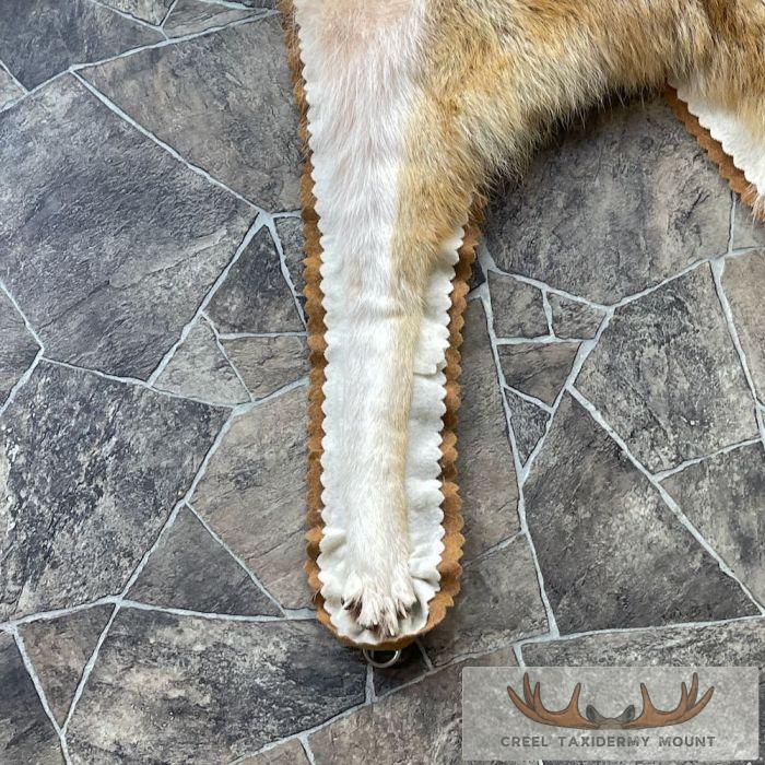 Strawberry Coyote Full Rug For Sale - Image 9