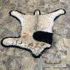 Bobcat Taxidermy Rug For Sale - Image 10