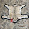 Bobcat Taxidermy Rug For Sale - Image 4
