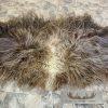 Muskox Back Hide Taxidermy Mount For Sale - Image 4
