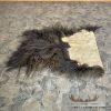 Muskox Back Hide Taxidermy Mount For Sale - Image 6