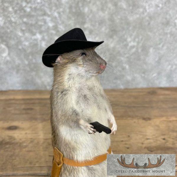 Cowboy Rat Novelty Taxidermy Mount For Sale - Image 2