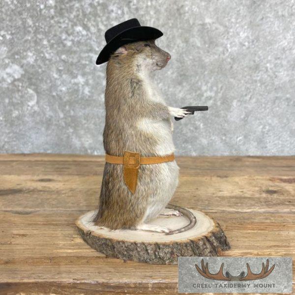 Cowboy Rat Novelty Taxidermy Mount For Sale - Image 4