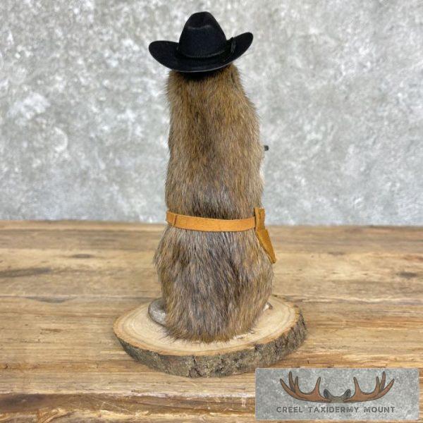 Cowboy Rat Novelty Taxidermy Mount For Sale - Image 3