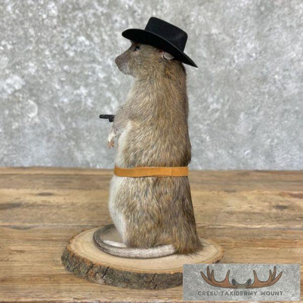 Cowboy Rat Novelty Taxidermy Mount For Sale - Image 5
