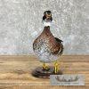 Wood Duck Taxidermy Bird Mount For Sale - Image 3