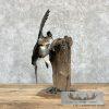 Wood Duck Taxidermy Bird Mount For Sale - Image 6