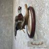 Wood Duck Drake Taxidermy Mount For Sale - Image 3