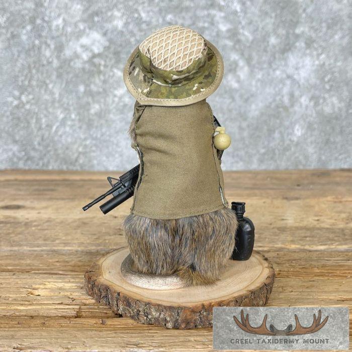 Patriot Rat Novelty Taxidermy Mount For Sale - Image 5