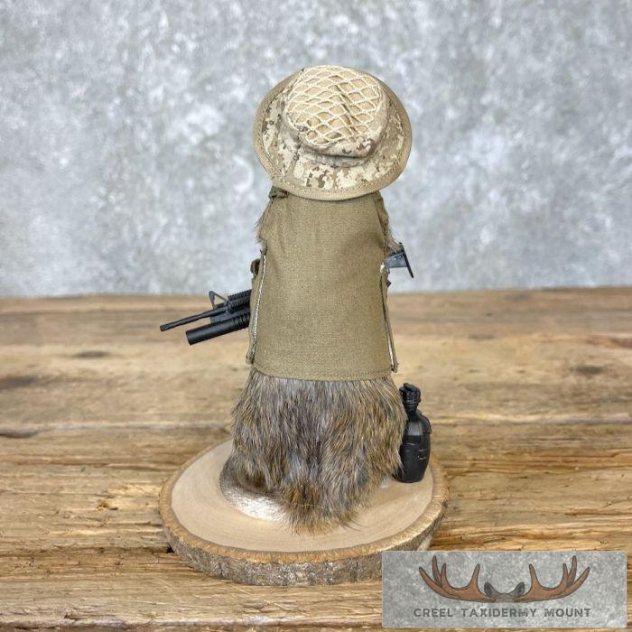 Patriot Rat Novelty Taxidermy Mount For Sale - Image 4