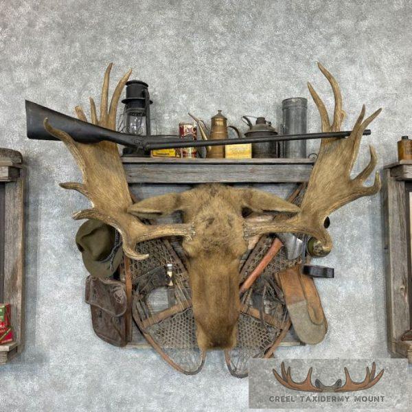 Captain's Classic Hunting Camp Harvest Display For Sale - Image 10