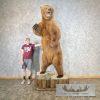 Russian Brown Bear Life-size Taxidermy Mount For Sale - Image 10