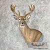 Whitetail Deer Wall Pedestal Mount For Sale - Image 2