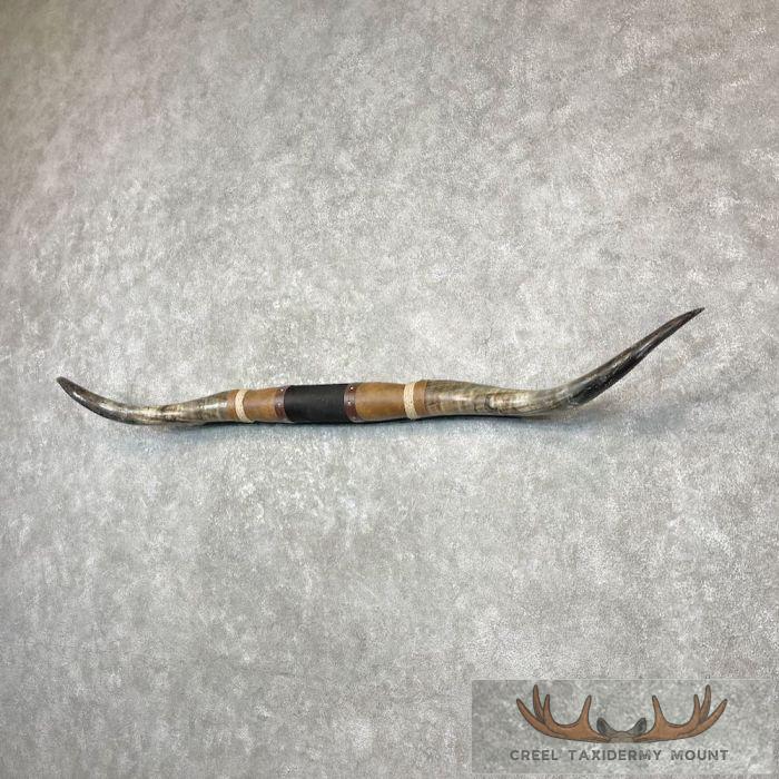 Longhorn Steer Plaque For Sale - Image 2