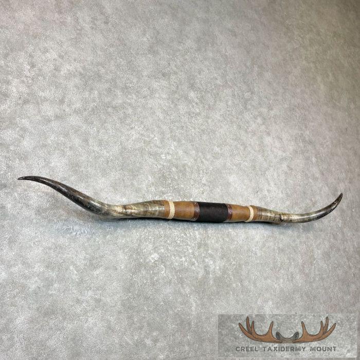 Longhorn Steer Plaque For Sale - Image 3