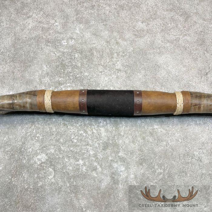 Longhorn Steer Plaque For Sale - Image 5