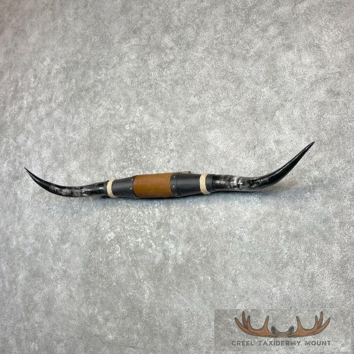 Longhorn Steer Plaque For Sale - Image 2