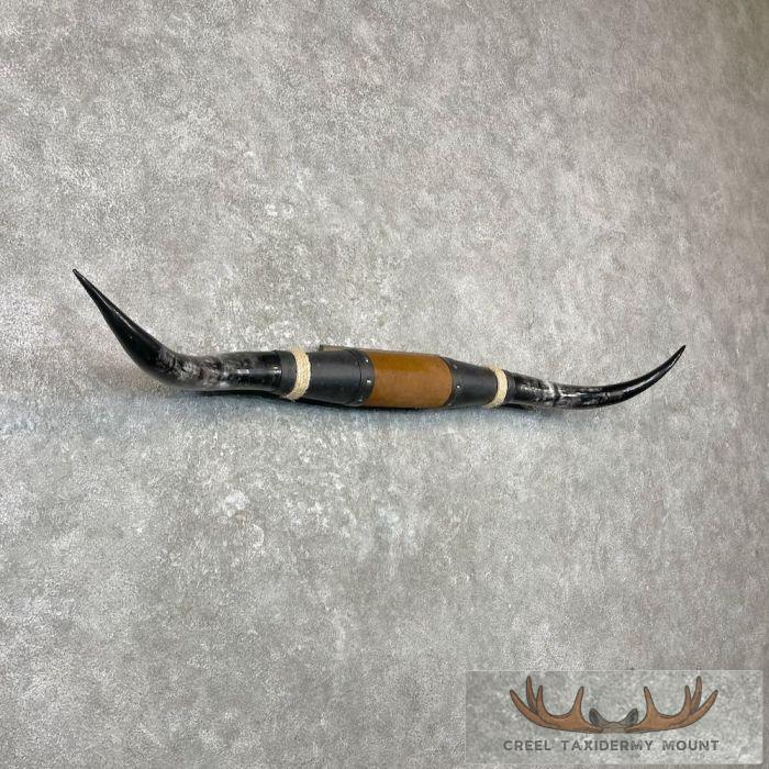 Longhorn Steer Plaque For Sale - Image 3