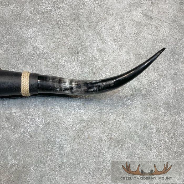 Longhorn Steer Plaque For Sale - Image 4