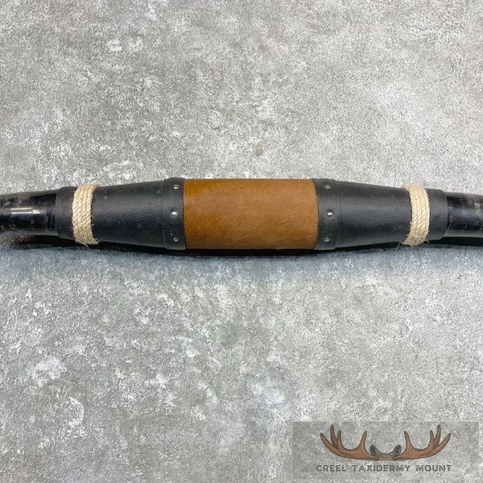 Longhorn Steer Plaque For Sale - Image 5