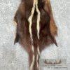 Skunk Dressing Tanned Hide For Sale - Image 3