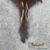 Skunk Dressing Tanned Hide For Sale - Image 4
