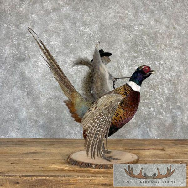 Cowboy Squirrel & Ringneck Pheasant Novelty Mount For Sale - Image 5