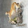 Mountain Lion (Cougar) Taxidermy Mount For Sale - Image 3