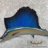 Atlantic Sailfish Taxidermy Fish Mount For Sale - Image 5