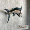 Blue Marlin Taxidermy Fish Mount For Sale - Image 3