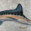 Blue Marlin Taxidermy Fish Mount For Sale - Image 5