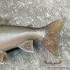 22" Splake Taxidermy Fish Mount For Sale - Image 6