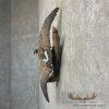 Cackling (Richardson's) Goose Taxidermy Bird Mount For Sale - Image 3