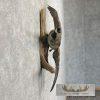 Cackling (Richardson's) Goose Taxidermy Bird Mount For Sale - Image 5