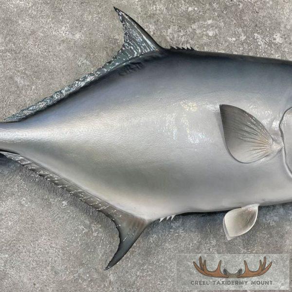 Crevalle Jack Taxidermy Fish Mount For Sale - Image 5