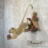 Vervet Monkey Life-Size Taxidermy Mount For Sale - Image 3