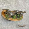 Blue Winged Teal Duck Pair Taxidermy Bird Mount For Sale - Image 4