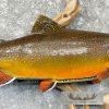 21.5" Brook Trout Taxidermy Fish Mount For Sale - Image 5